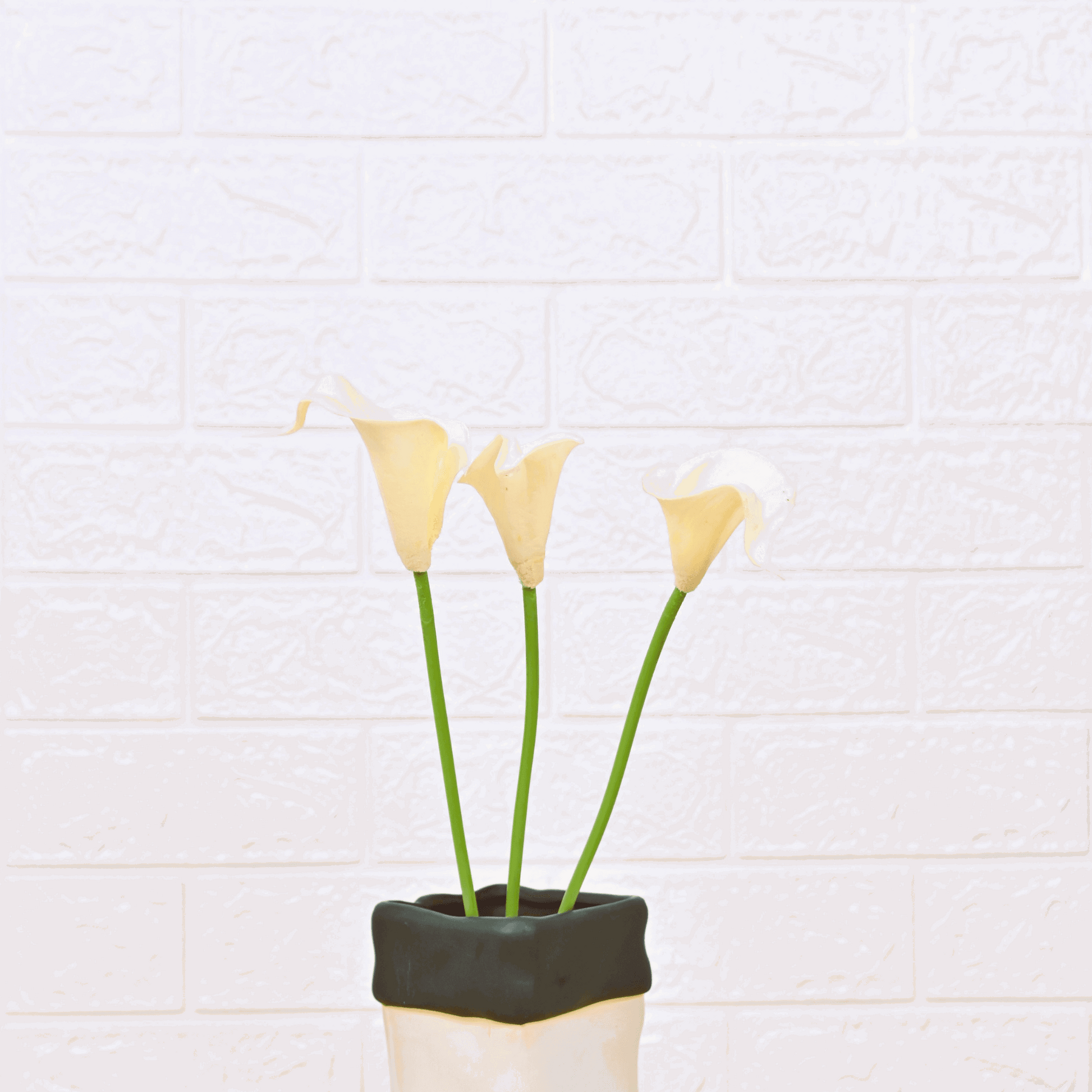 CALLA LILY (PACK OF 2) - Oriental Flowers