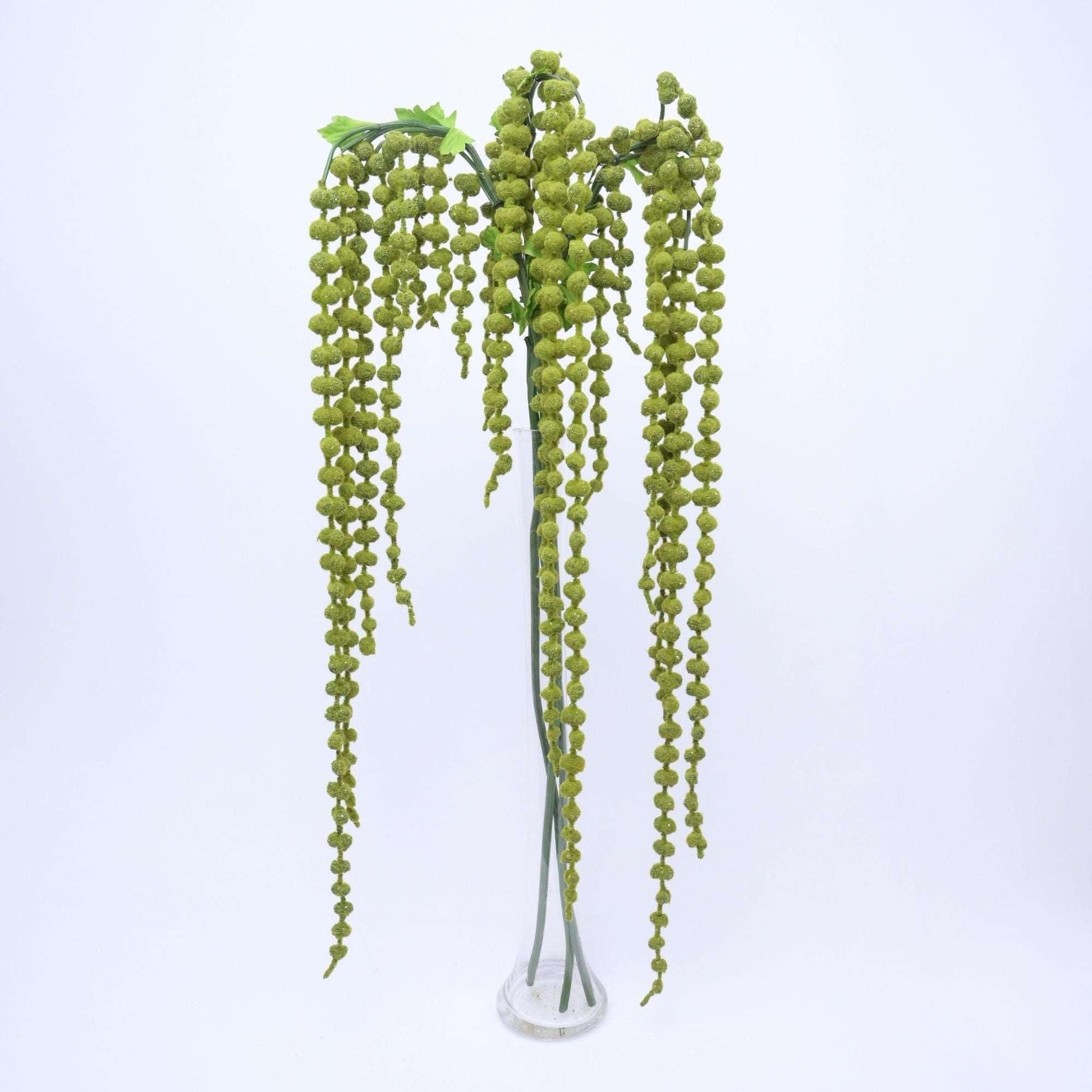 AMARANTHUS - Oriental Flowers