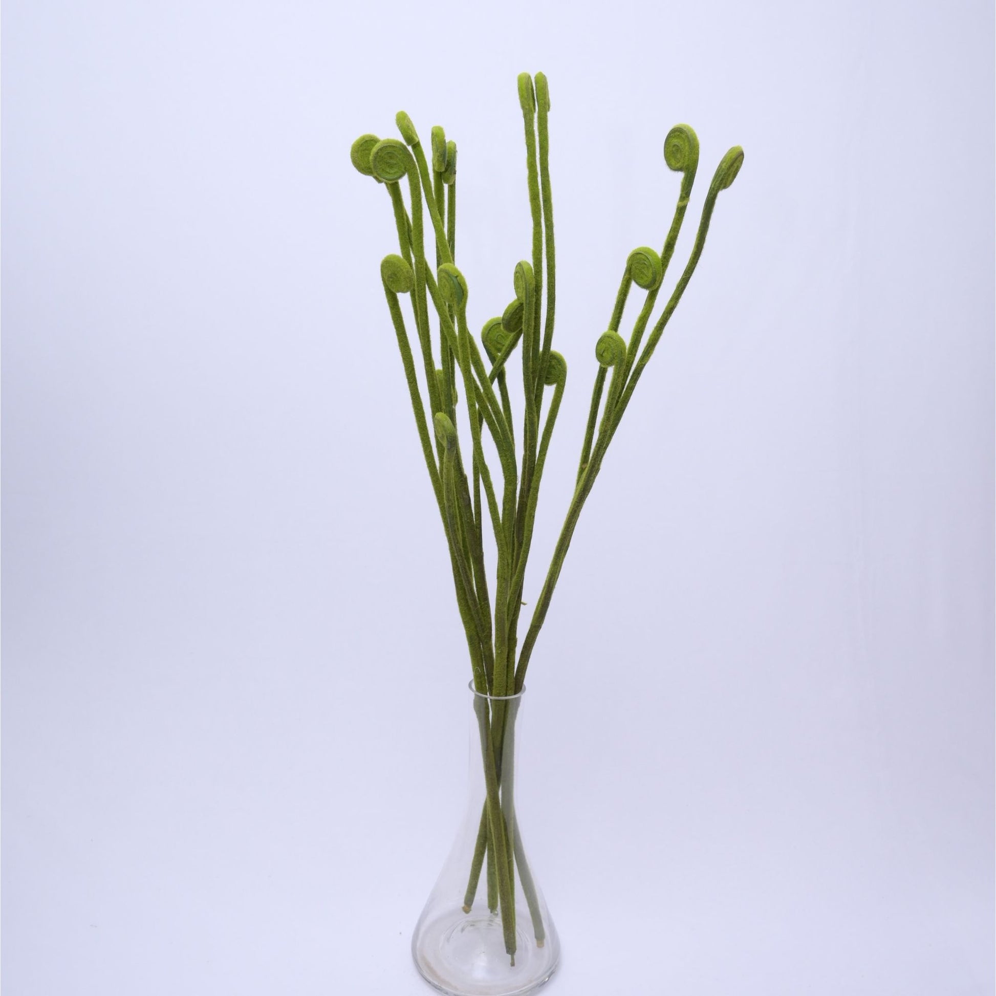 ORIENTAL FLOWERS ARTIFICIAL GREEN FOLIAGE STICK (PACK OF 1) - Oriental Flowers