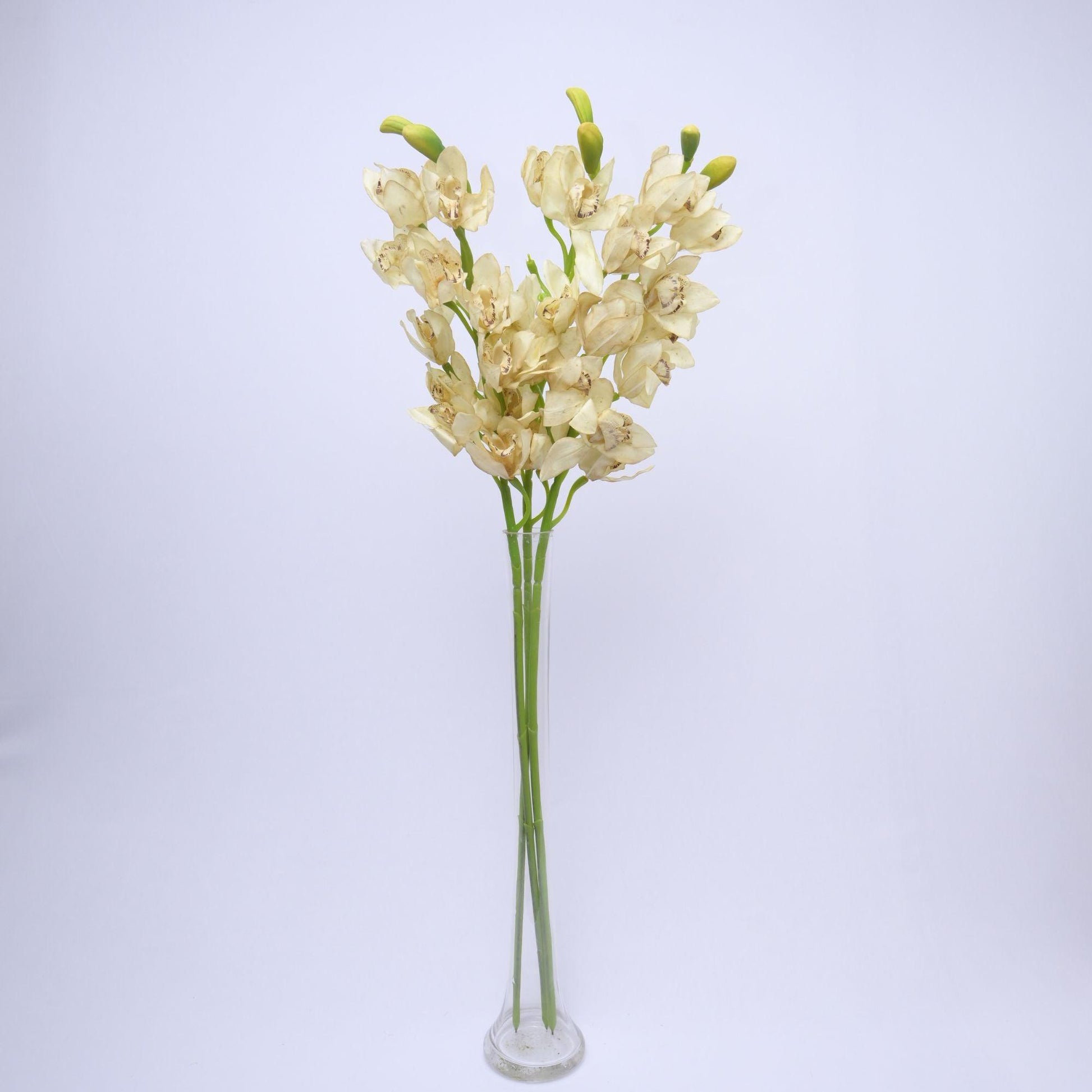 ORIENTAL FLOWERS BEST SELLER ARTIFICIAL CYMBIDIUM (PACK OF 1) - Oriental Flowers