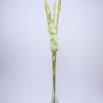 ORIENTAL FLOWERS ARTIFICIAL GLADIOLUS (PACK OF 2) - Oriental Flowers