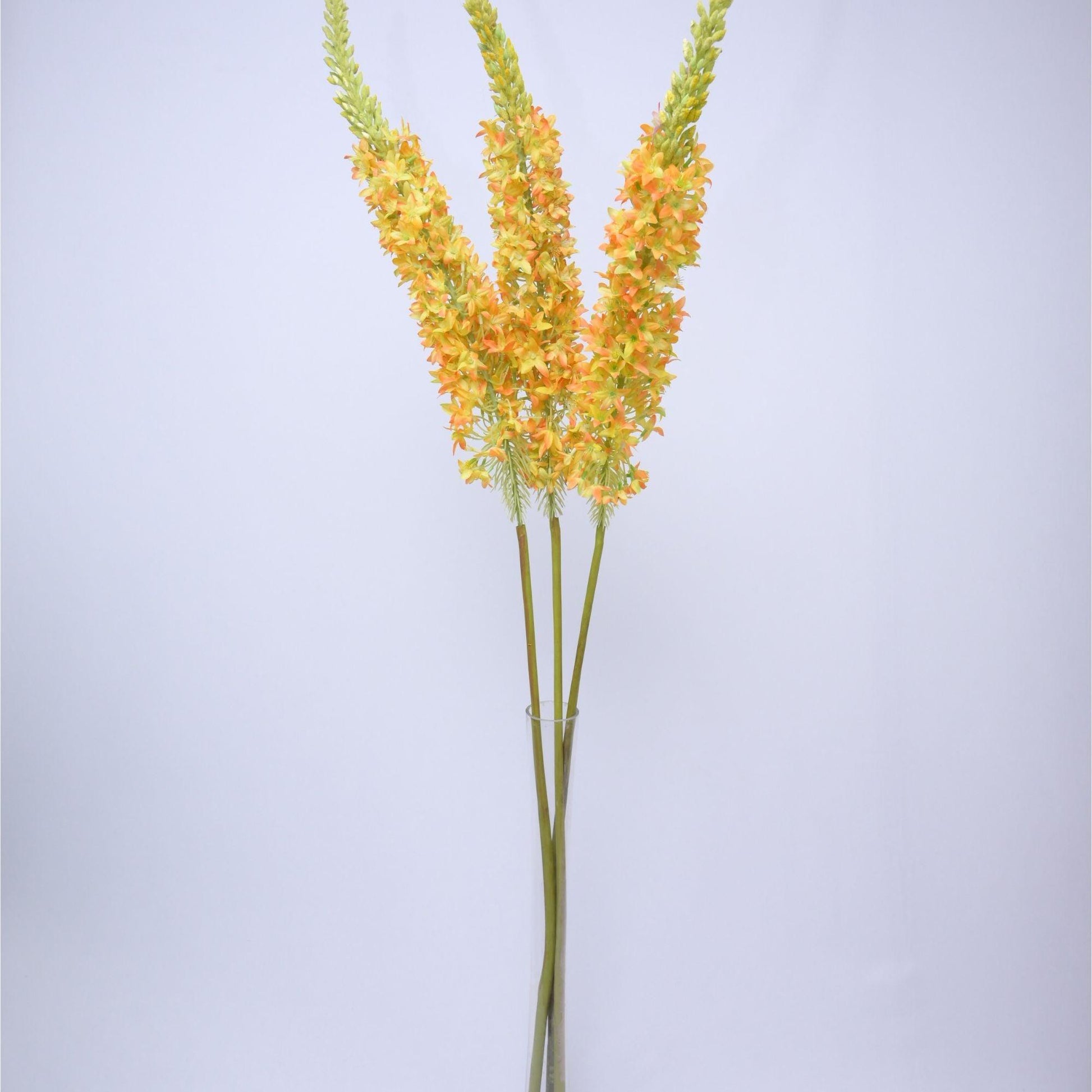 ORIENTAL FLOWERS ARTIFICIAL EREMURUS (PACK OF 1) - Oriental Flowers