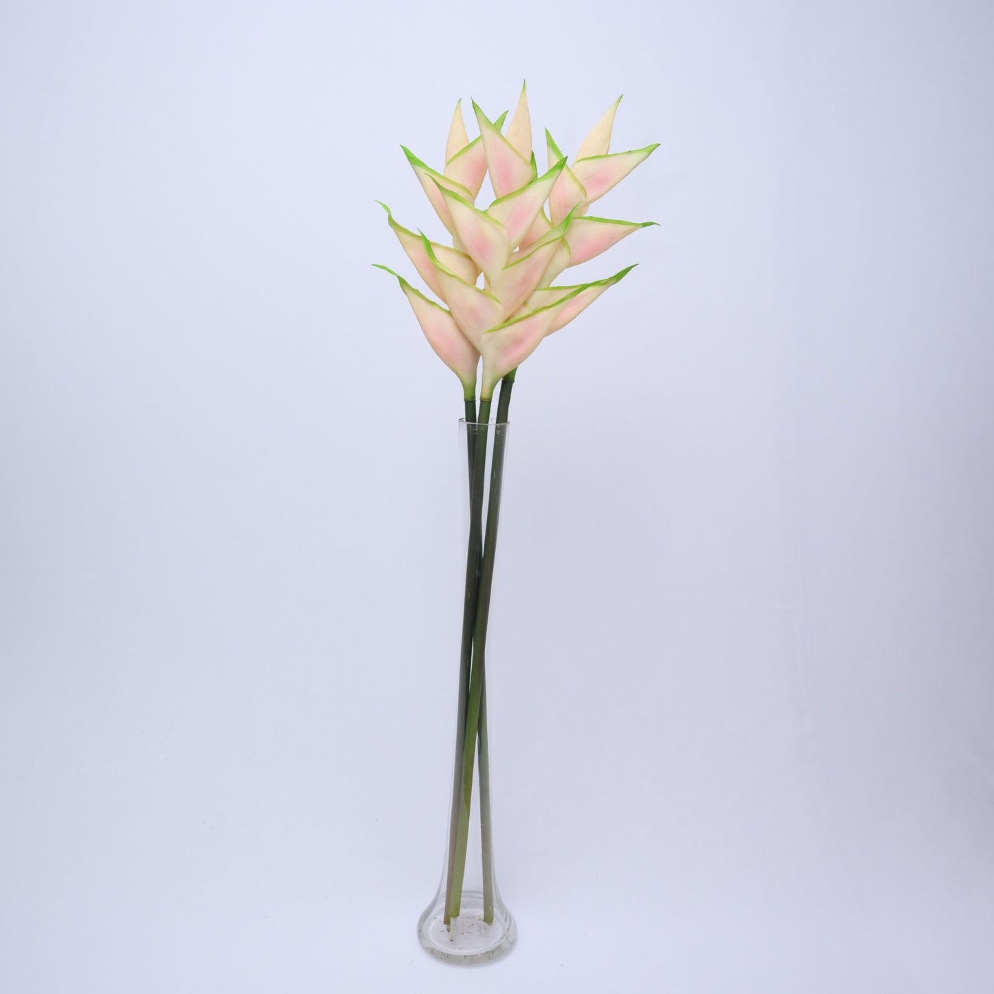 ORIENTAL FLOWERS ARTIFICIAL HELICONIA (PACK OF 1) - Oriental Flowers