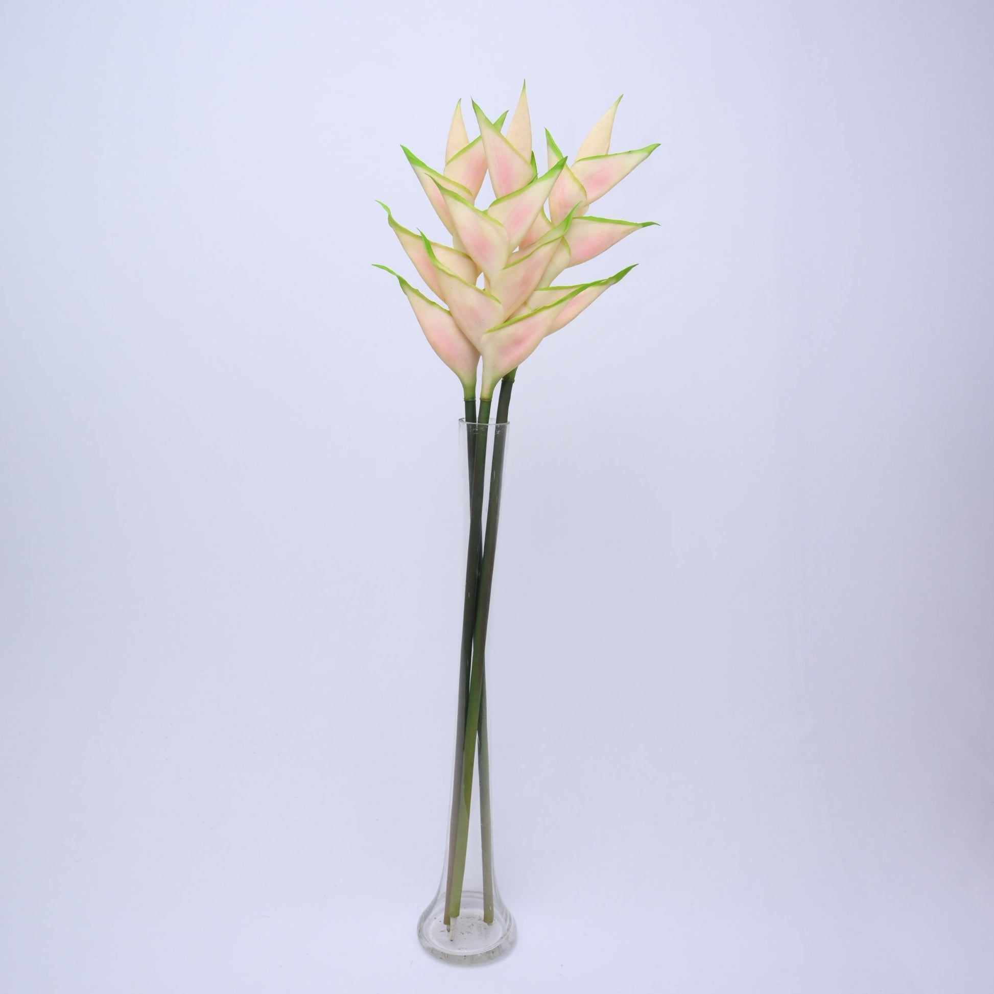 ORIENTAL FLOWERS ARTIFICIAL HELICONIA (PACK OF 1) - Oriental Flowers