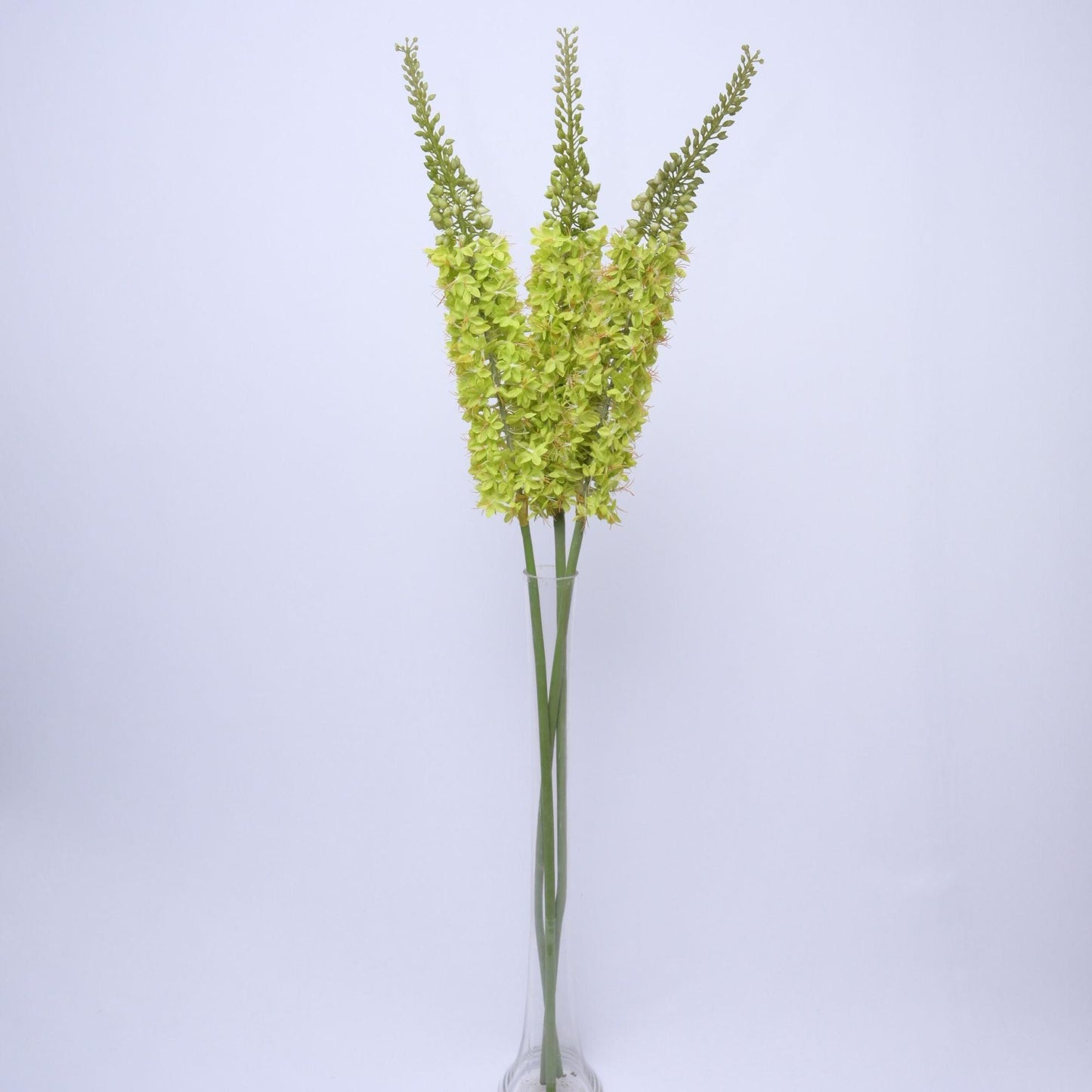 ORIENTAL FLOWERS ARTIFICIAL EREMURUS (PACK OF 1) - Oriental Flowers