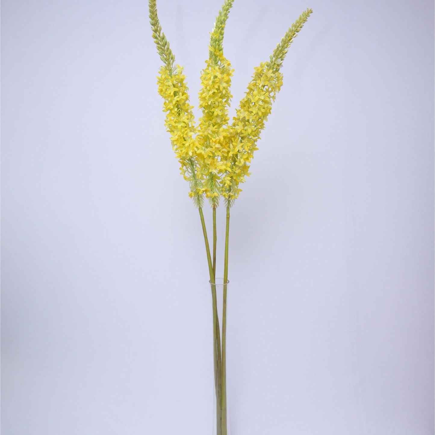 ORIENTAL FLOWERS ARTIFICIAL EREMURUS (PACK OF 1) - Oriental Flowers