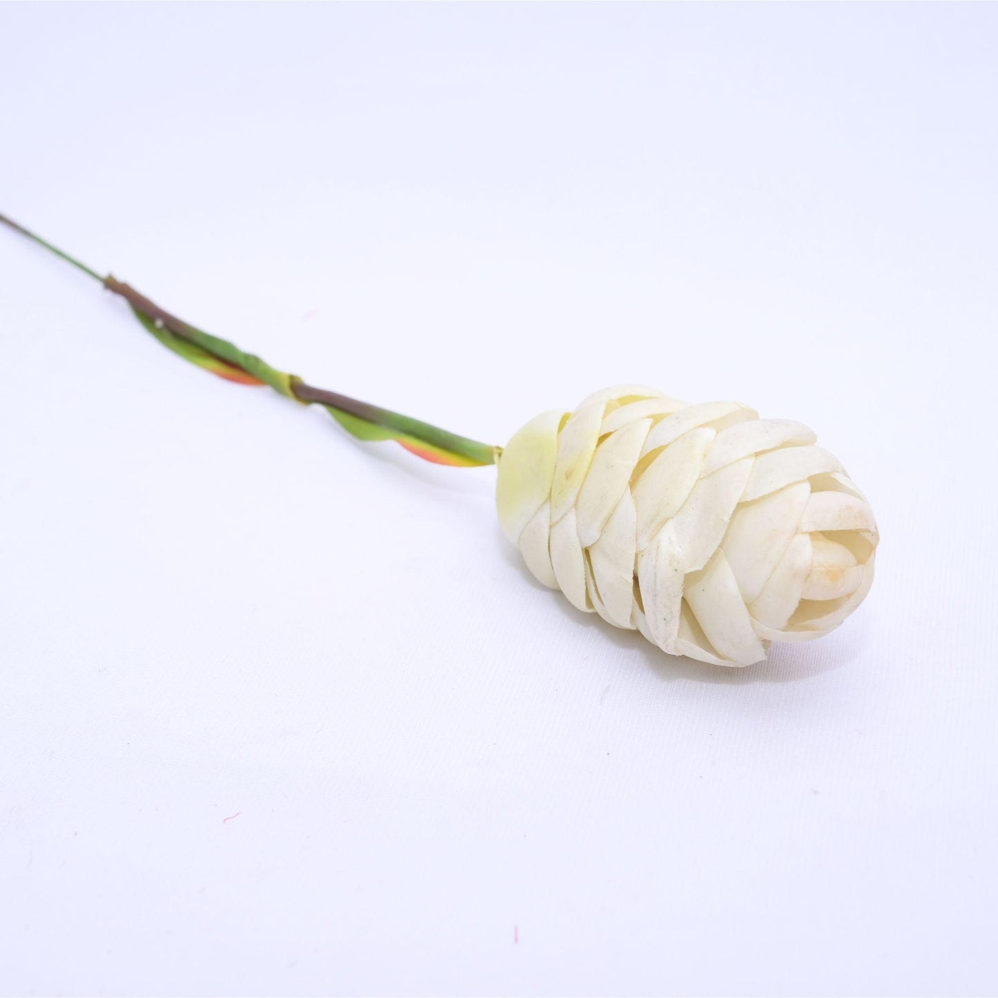 ORIENTAL FLOWERS ARTIFICIAL GINGER BITTER (PACK OF 1) - Oriental Flowers