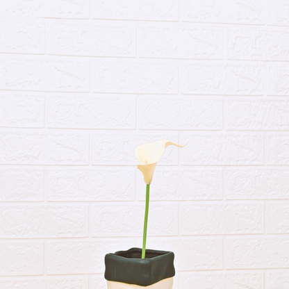 CALLA LILY (PACK OF 2) - Oriental Flowers