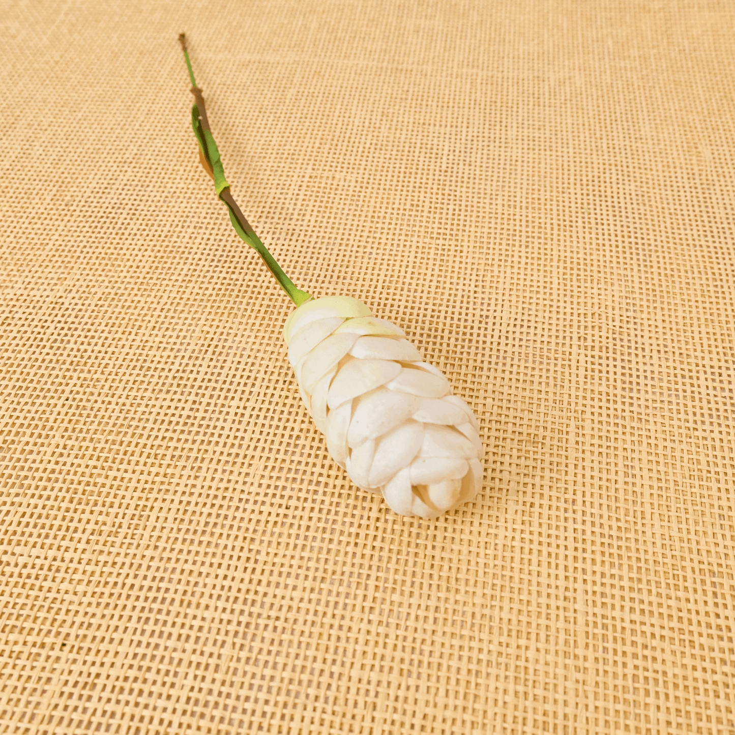 ORIENTAL FLOWERS ARTIFICIAL GINGER BITTER (PACK OF 1) - Oriental Flowers