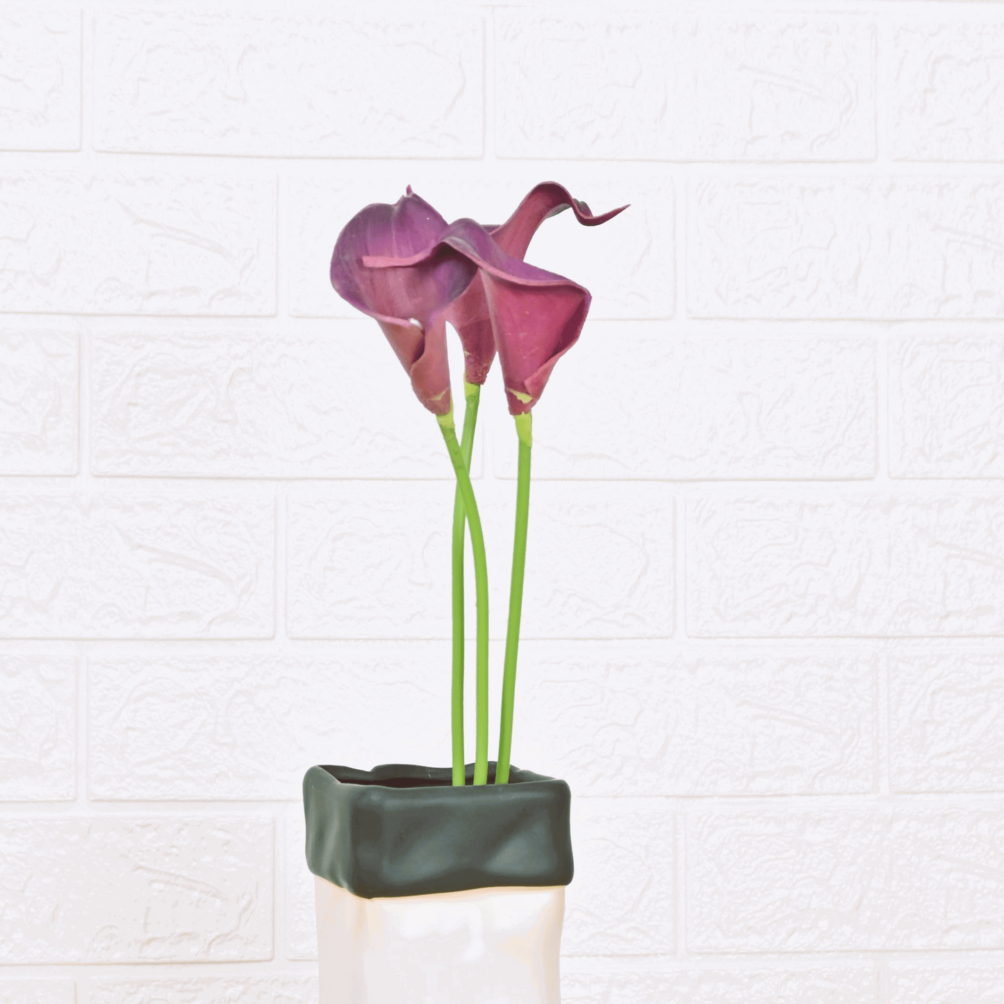 CALLA LILY (PACK OF 2) - Oriental Flowers