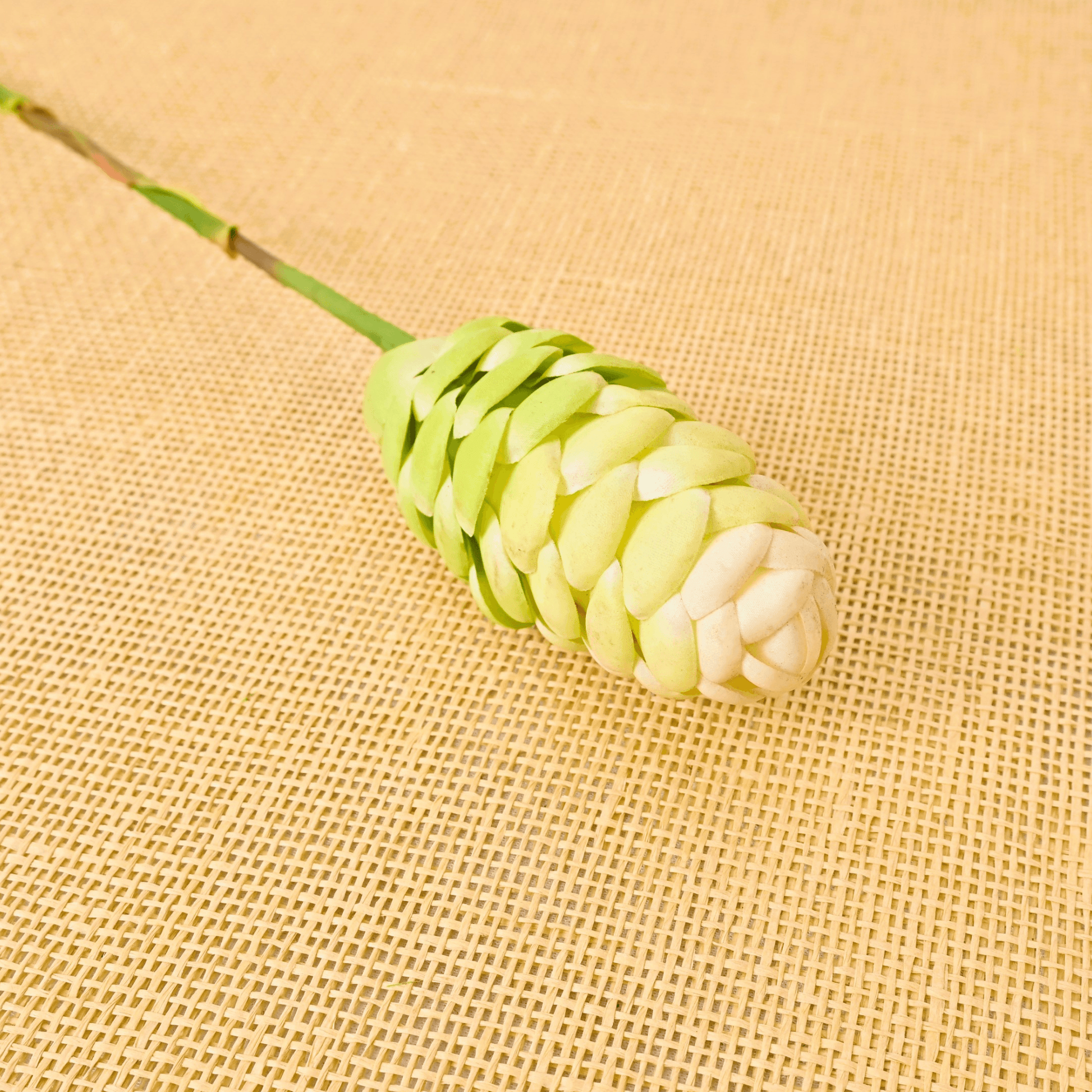 ORIENTAL FLOWERS ARTIFICIAL GINGER BITTER (PACK OF 1) - Oriental Flowers